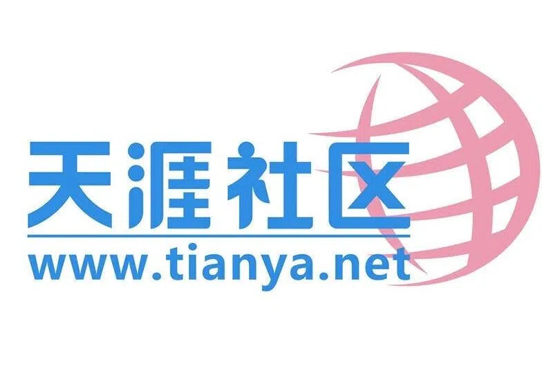 杨丹旭：天涯重启回忆杀