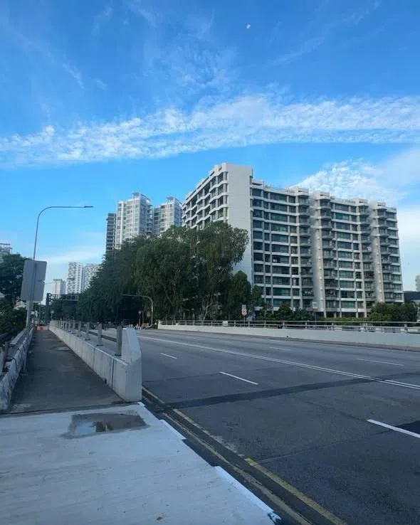 跨越加冷河的蒙哥马利桥，是为了纪念当年为精神病患争取权益的蒙哥马利医生而建。（翁铭芯摄）