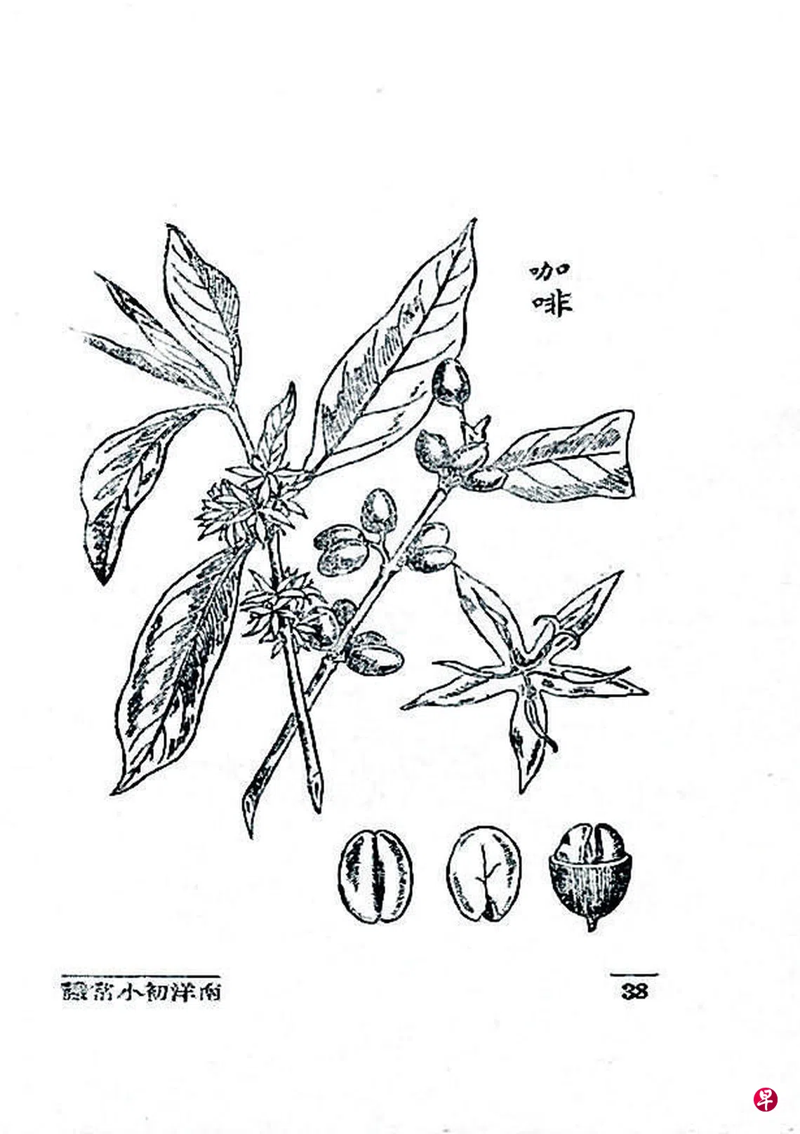 血腥㗝呸| 联合早报