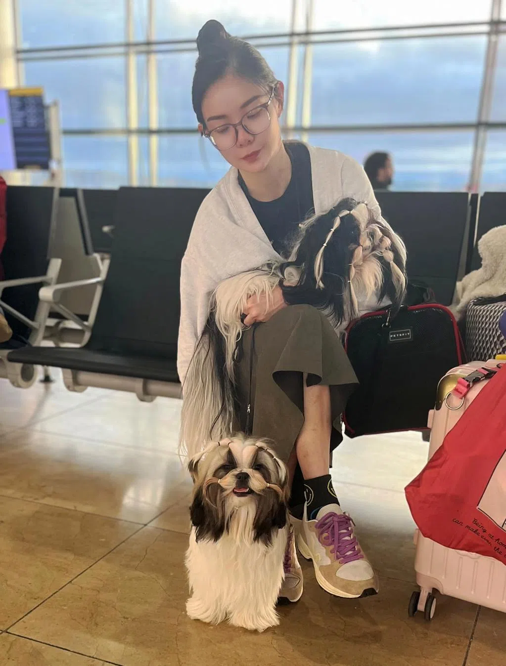 “Fly A Pet”老板邹文生和妻子白瑞玲（图），去年12月带着两只爱犬在机场等待登机返回新加坡。（受访者提供）