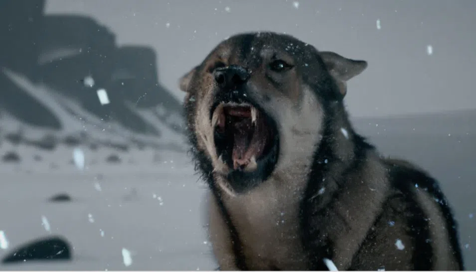 AI生成影片降低了制作成本，也拉低了影片制作门槛。（Waymark提供）