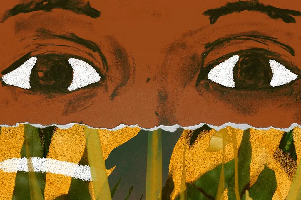 2024新加坡国际电影节专辑 《奥利维娅与云》：把旧爱藏在床底下