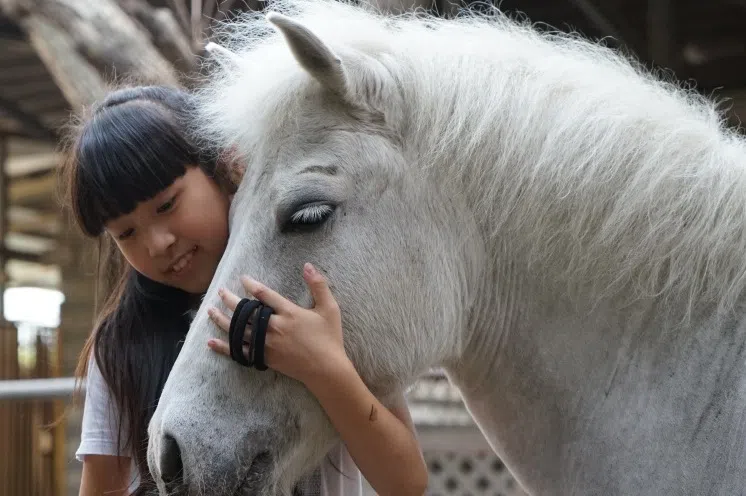 解答60种青春烦恼 游览13种疗愈牧场