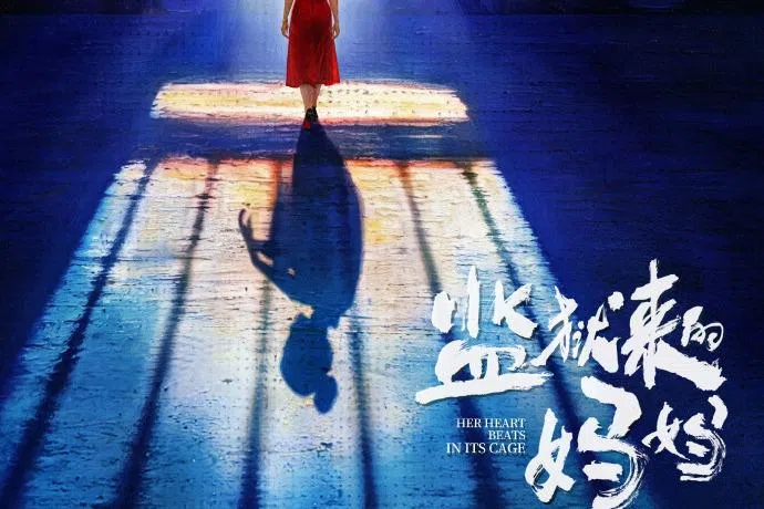 上海电影局：停止《监狱来的妈妈》上映