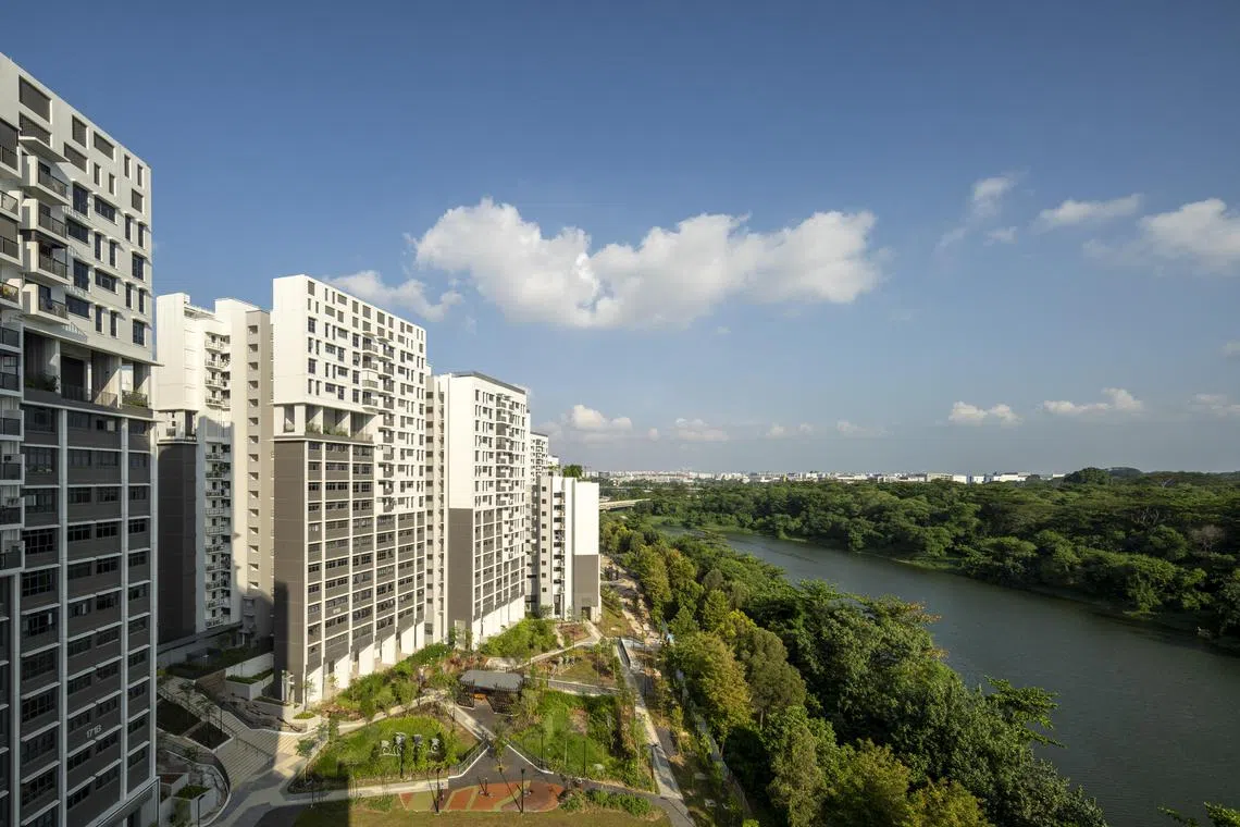 位于盛港的Rivervale Shores组屋项目从盛港昔日渔村汲取设计灵感，将高层建筑与大自然融为一体，为居民打造绿意盎然的河畔环境。（盛裕集团提供）