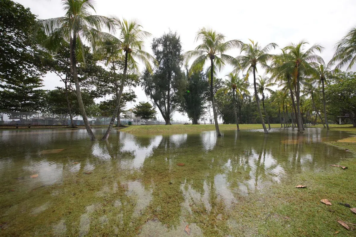 星期三中午我国海岸水位涨潮达3.4米，东海岸公园部分临岸区域一度淹水。（谢智扬摄）