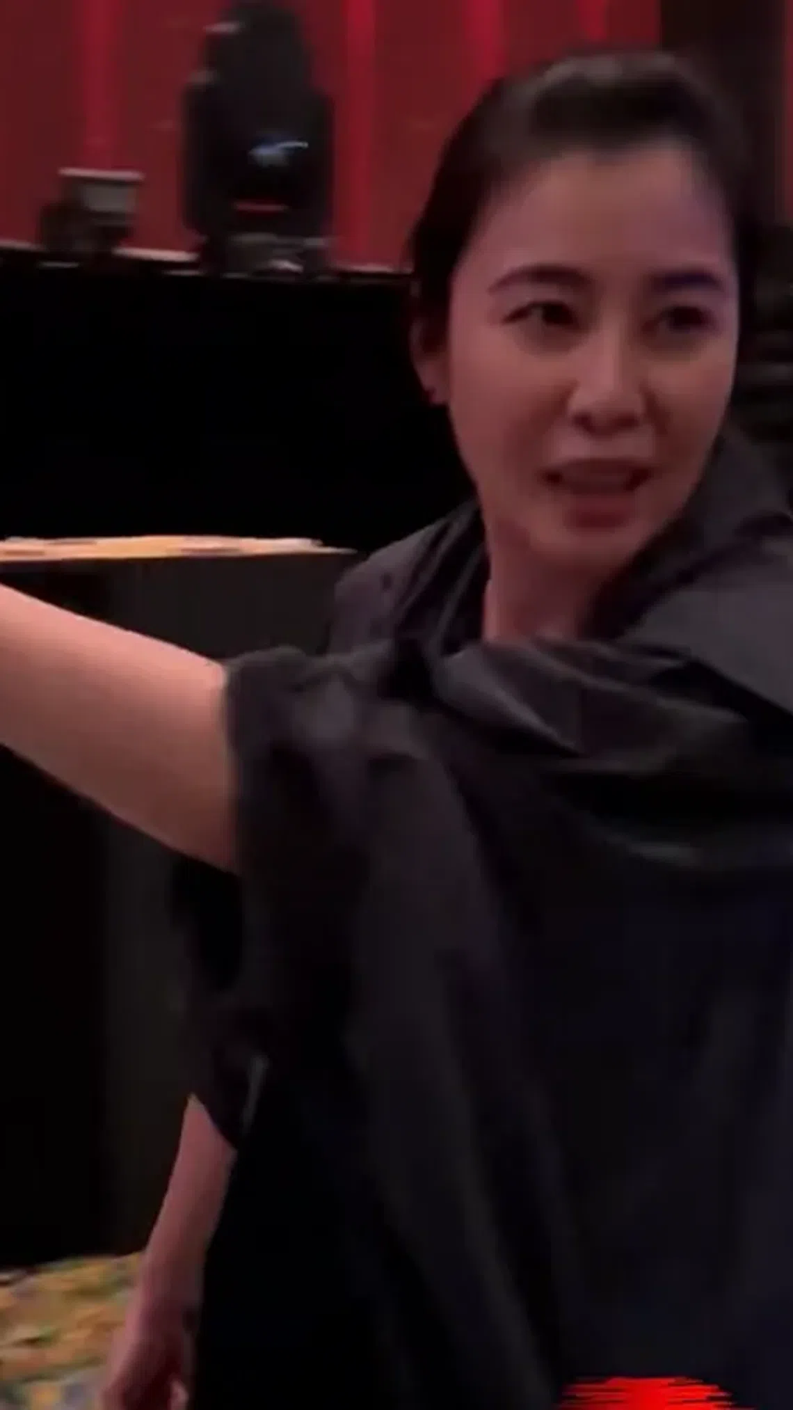 蒙嘉慧在郑伊健的澳门演唱会说日语而挨骂。（互联网）