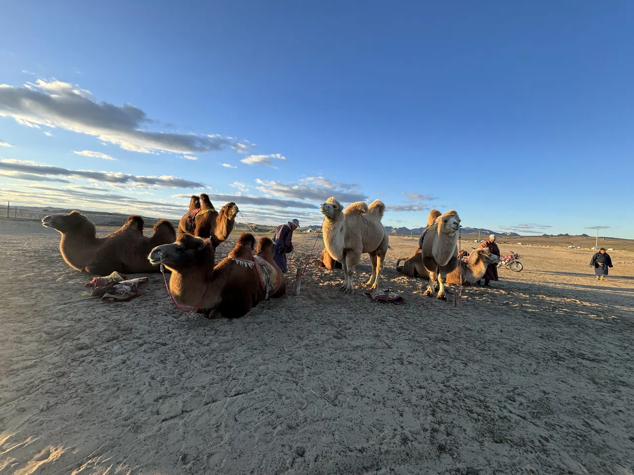 到访戈壁沙漠，可骑乘骆驼感受当地的广袤壮丽。（中欧航旅提供）
