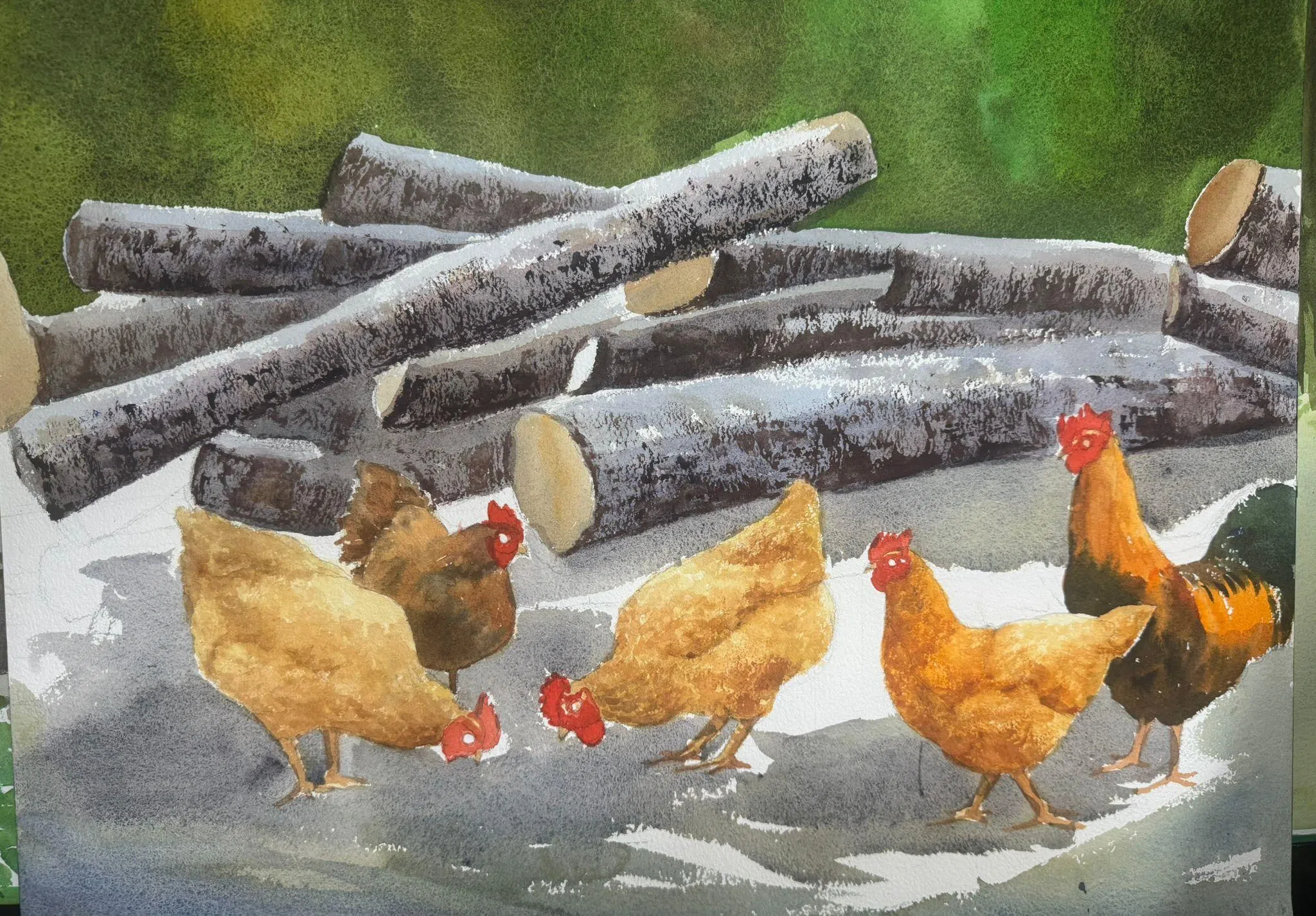 陈祺竹水彩画《鸡群》。（新加坡水彩画会提供）