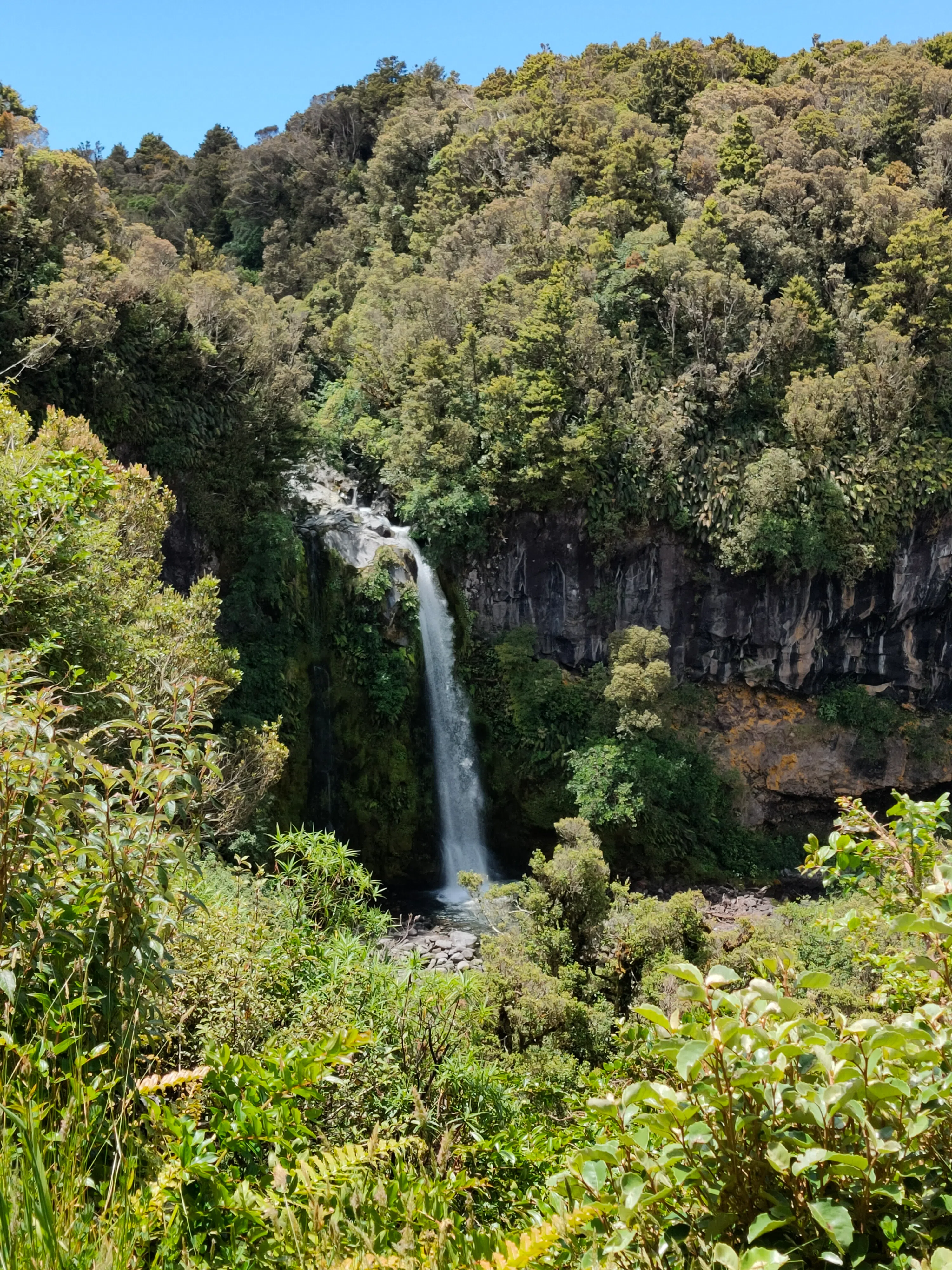 道森瀑布位于塔拉纳基艾格蒙特国家公园内，是一座18米高的瀑布。（陈静芳摄）