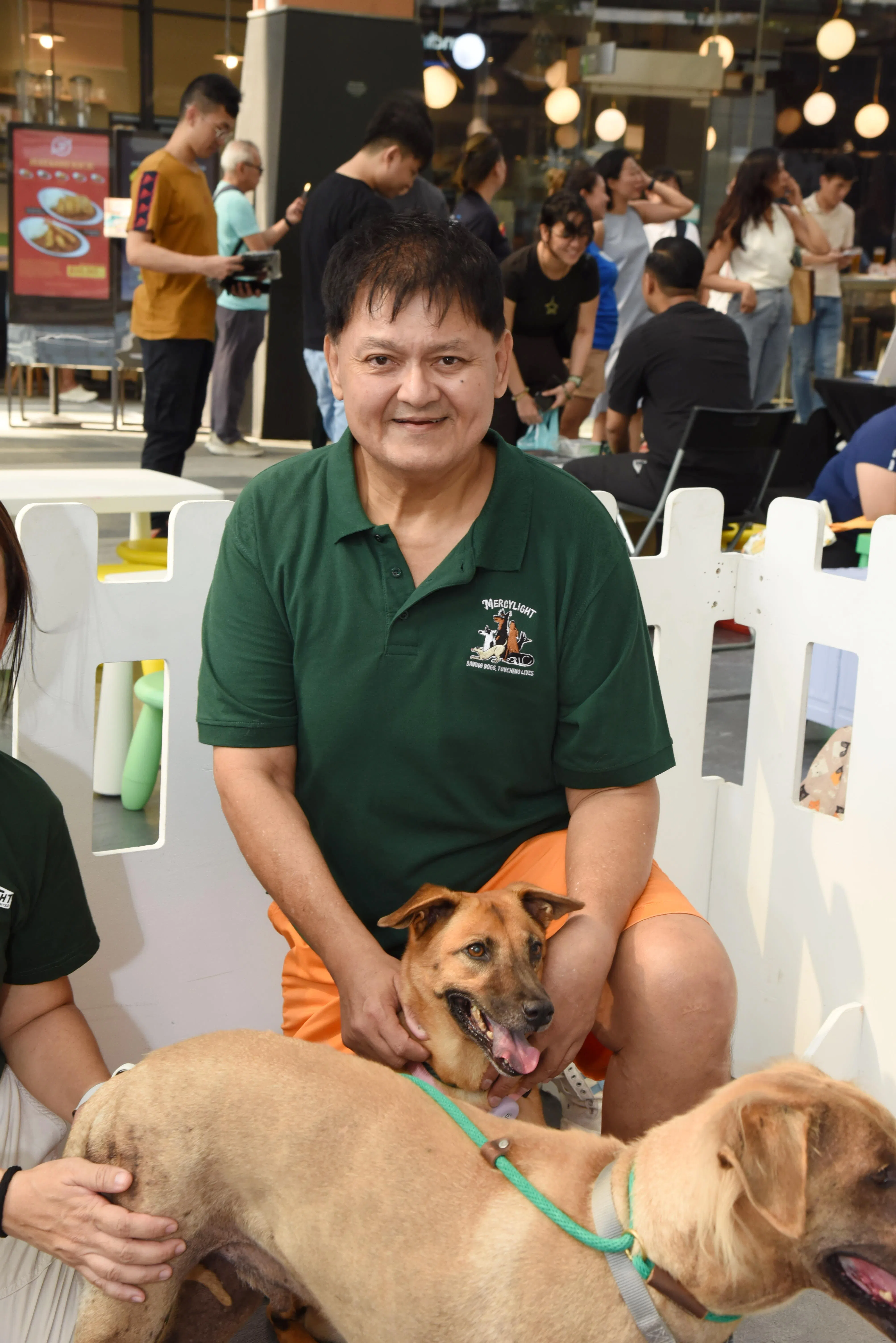 Mercylight主席林威扬说，组织主要为新加坡特犬提供庇护。相对纯种犬，新加坡特犬较难适应住家环境，所以如何提高领养率是组织面对的挑战之一。（特约摄影伍书永摄）