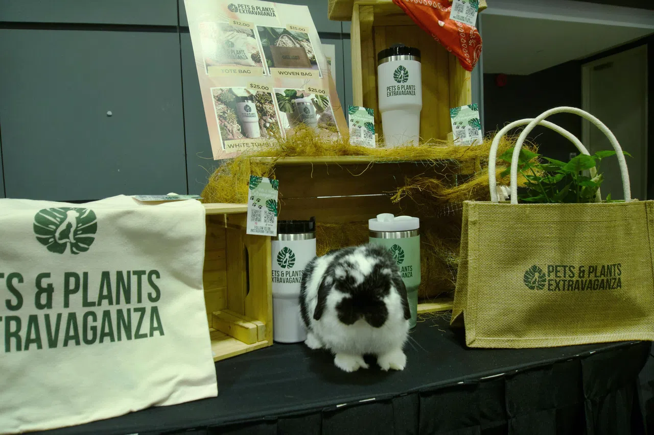 公众可透过兔子护理教育讲座，加强养兔知识。（受访者提供）