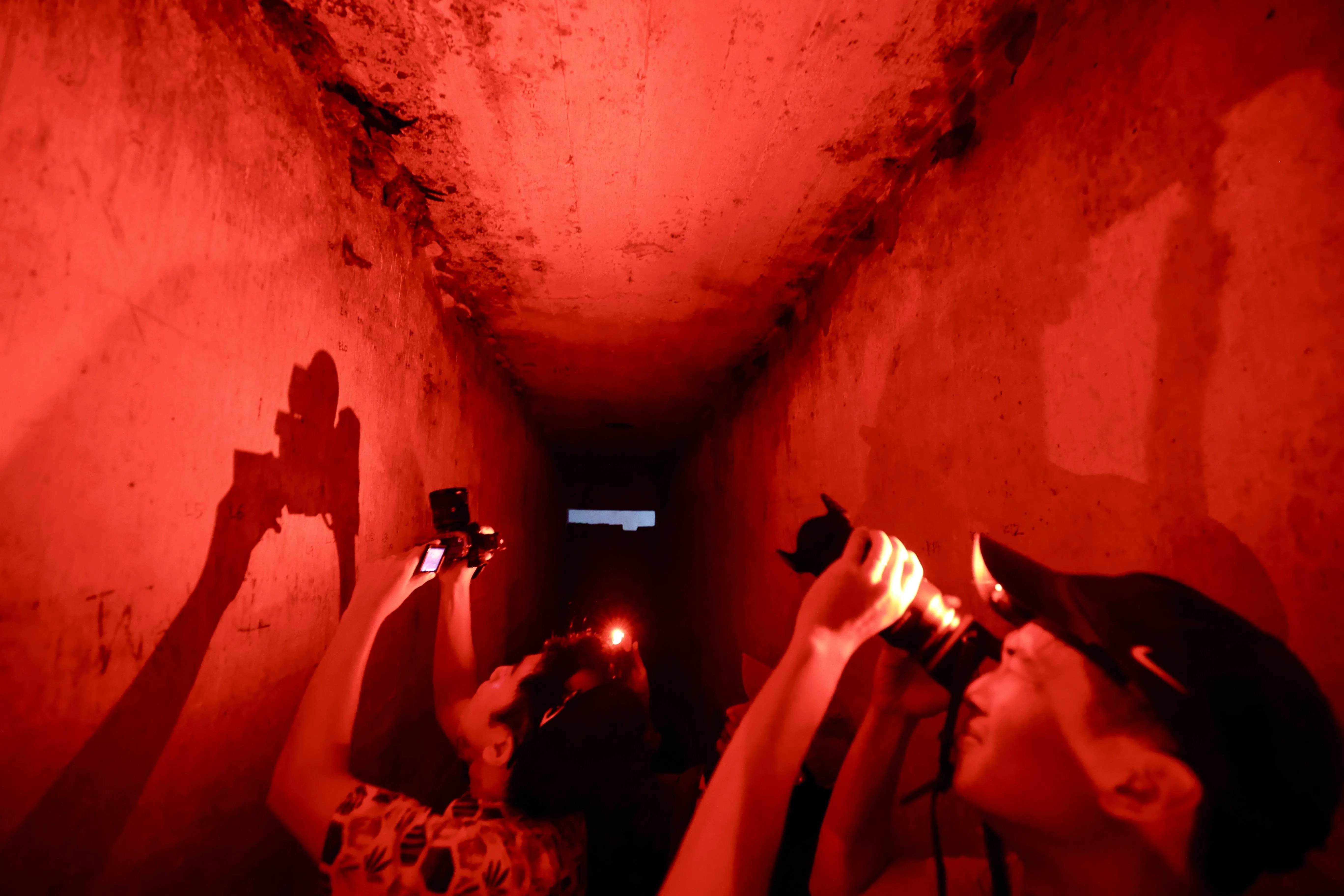 历史悠久的地堡内部昏暗漆黑、通道狭窄，对光线非常敏感的金丝燕来说，是安家落户的宜居地。（邬福梁摄）