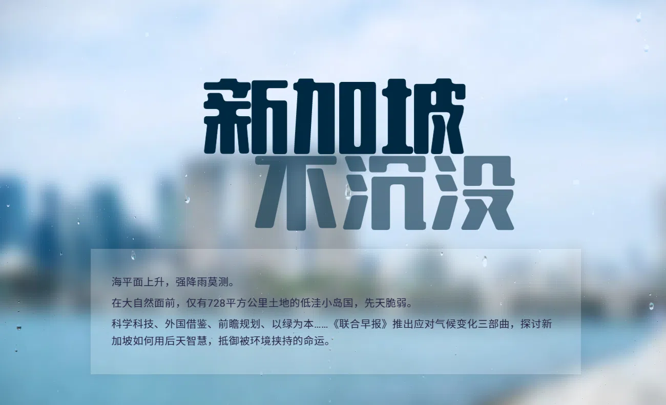 《新加坡不沉没》也获得网站组别环境可持续性类别银奖。