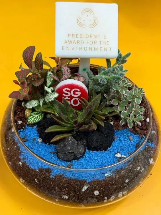 晚宴还在每一桌摆上设计精致的“生态瓶”，这是永续发展与环境部联同APSN和本地社会企业Semula合作的结晶，采用回收塑料牛奶瓶制作而成，顶饰标识了SG60和总统环境奖。（永续发展与环境部提供）