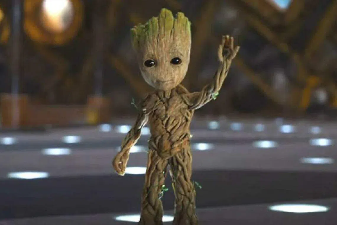 小树人格鲁特萌萌哒的，很可爱。（互联网）