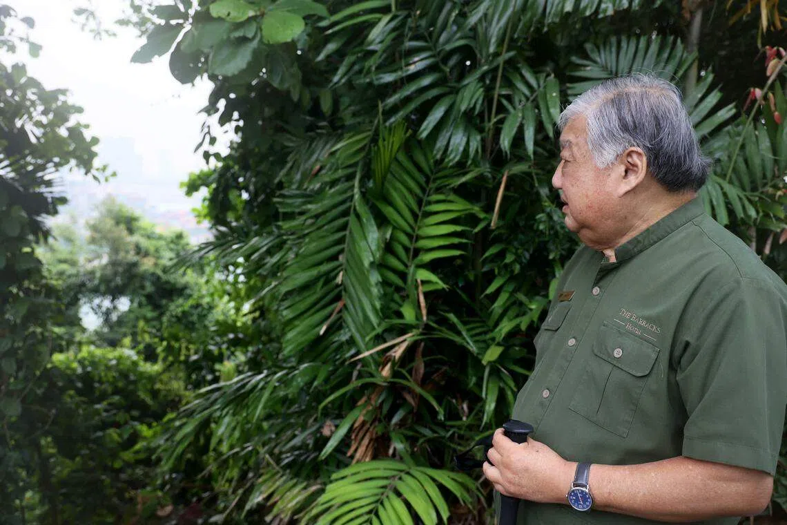 柯信丰现为百瑞营圣淘沙酒店的文史导览员，经常在岛上走动。（龙国雄摄）