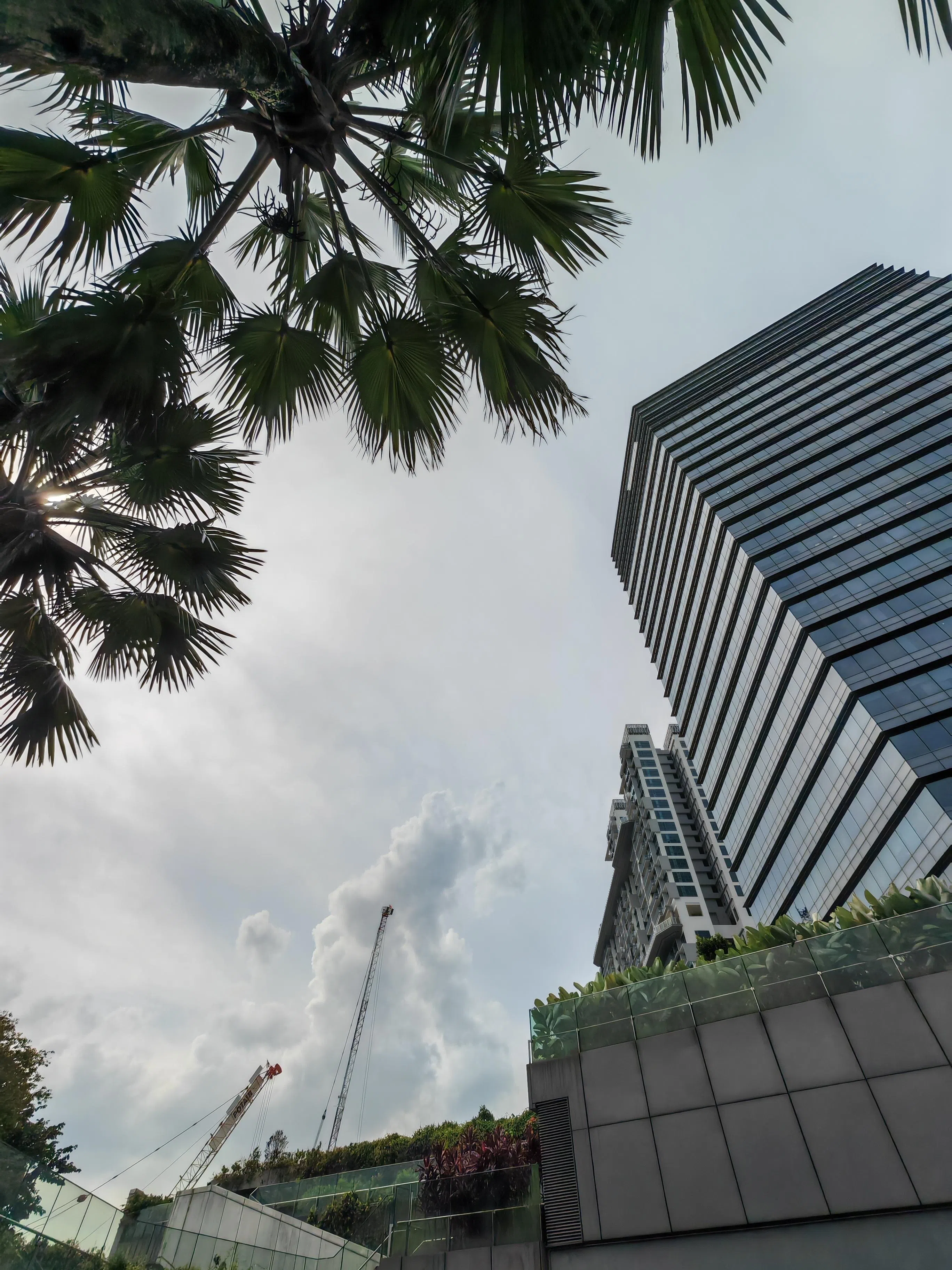 Magic V3的原照，图像中有大型建筑物。（黄少伟摄）