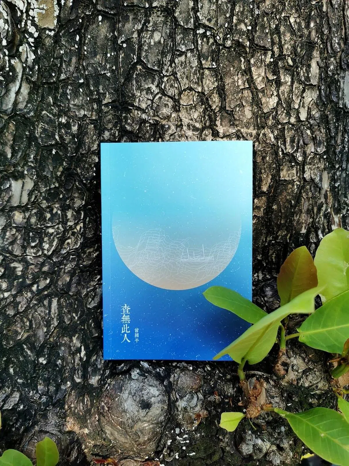 曾国平（语凡）诗集《查无此人》中出现不少树的意象。（陈宇昕摄）