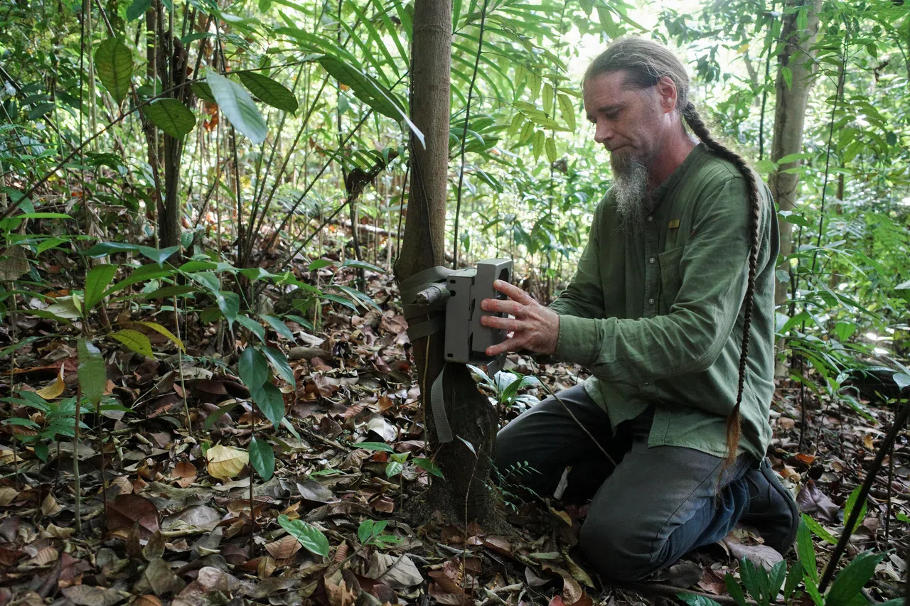 圣淘沙发展局负责野生动物保育工作的Justin Patch，寻找合适地点安装相机。（卓祾祎摄）