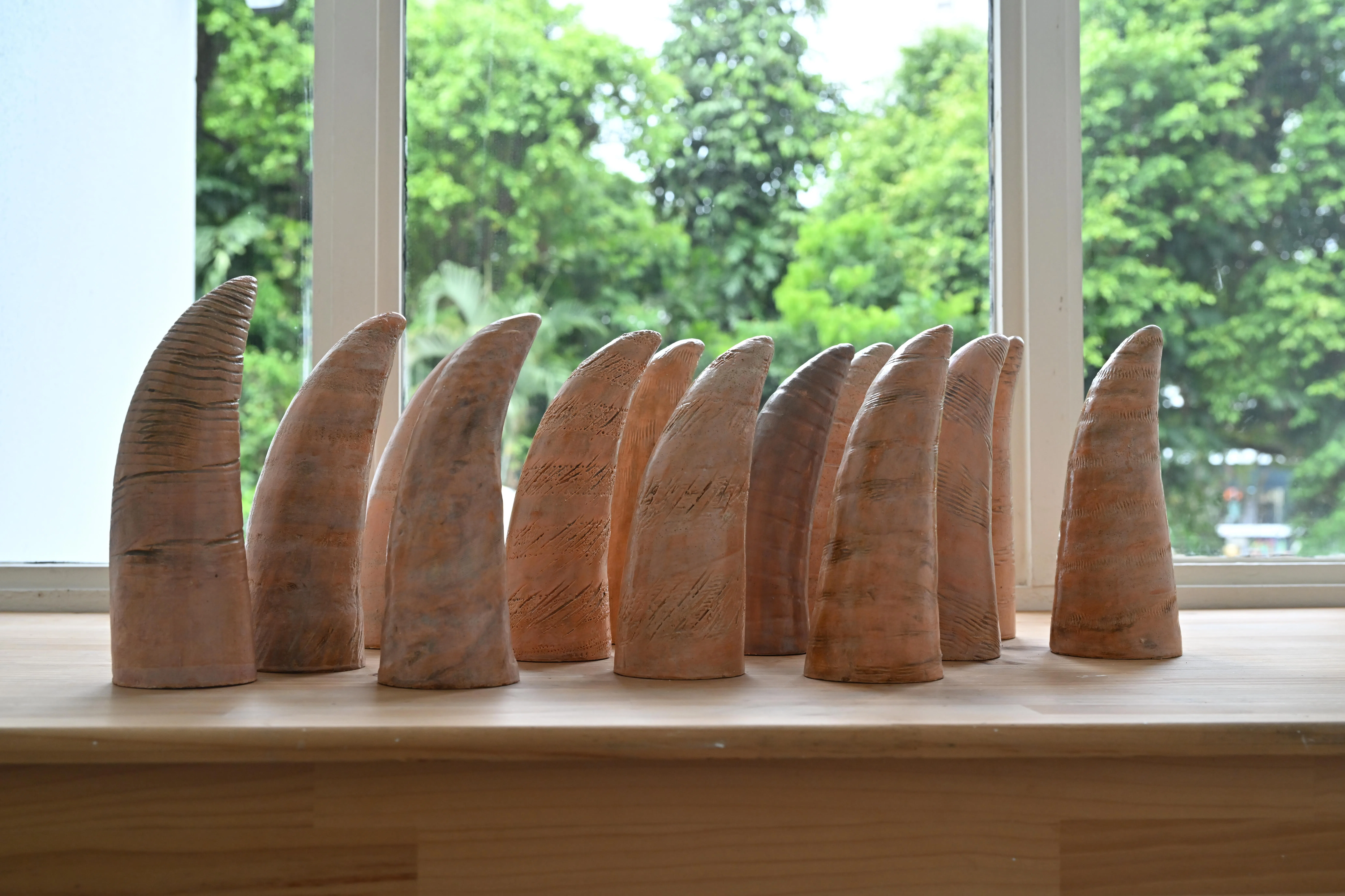 新加坡迪莉娅·帕瓦奇（Delia Prvački）的陶艺作品。（宅生记提供）