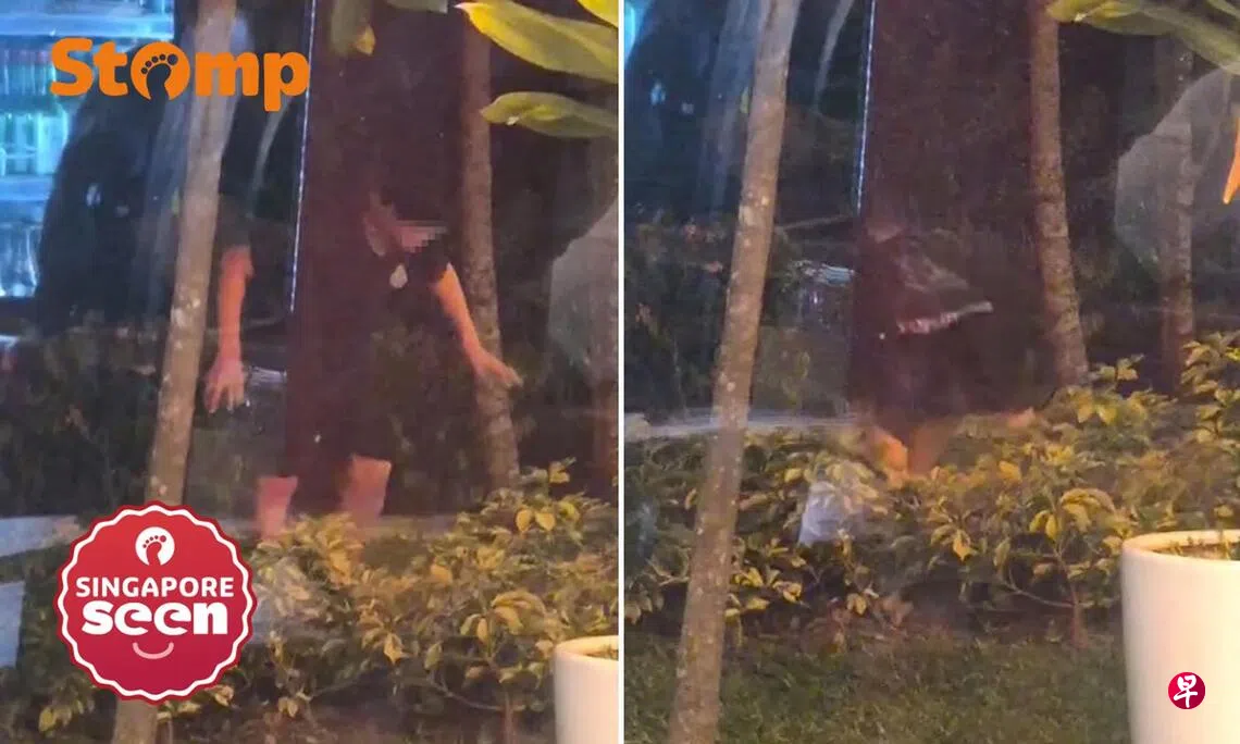 少年踉跄跌进花丛 当局正查是否涉吸丧尸烟弹