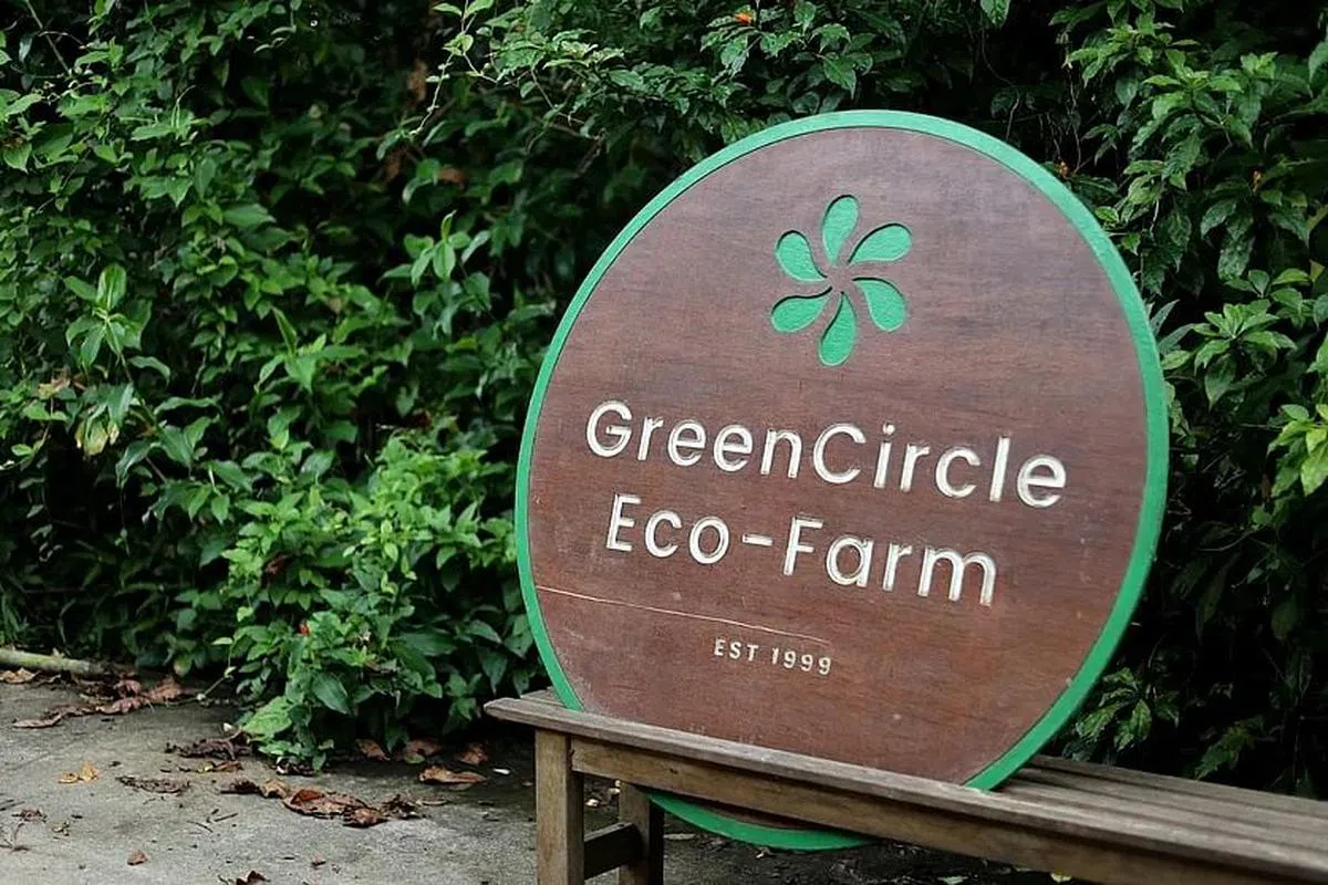 翁丽珠不期待绿圈生态菜园能继续营业，只希望这块土地能继续用作耕种。（龙国雄摄）