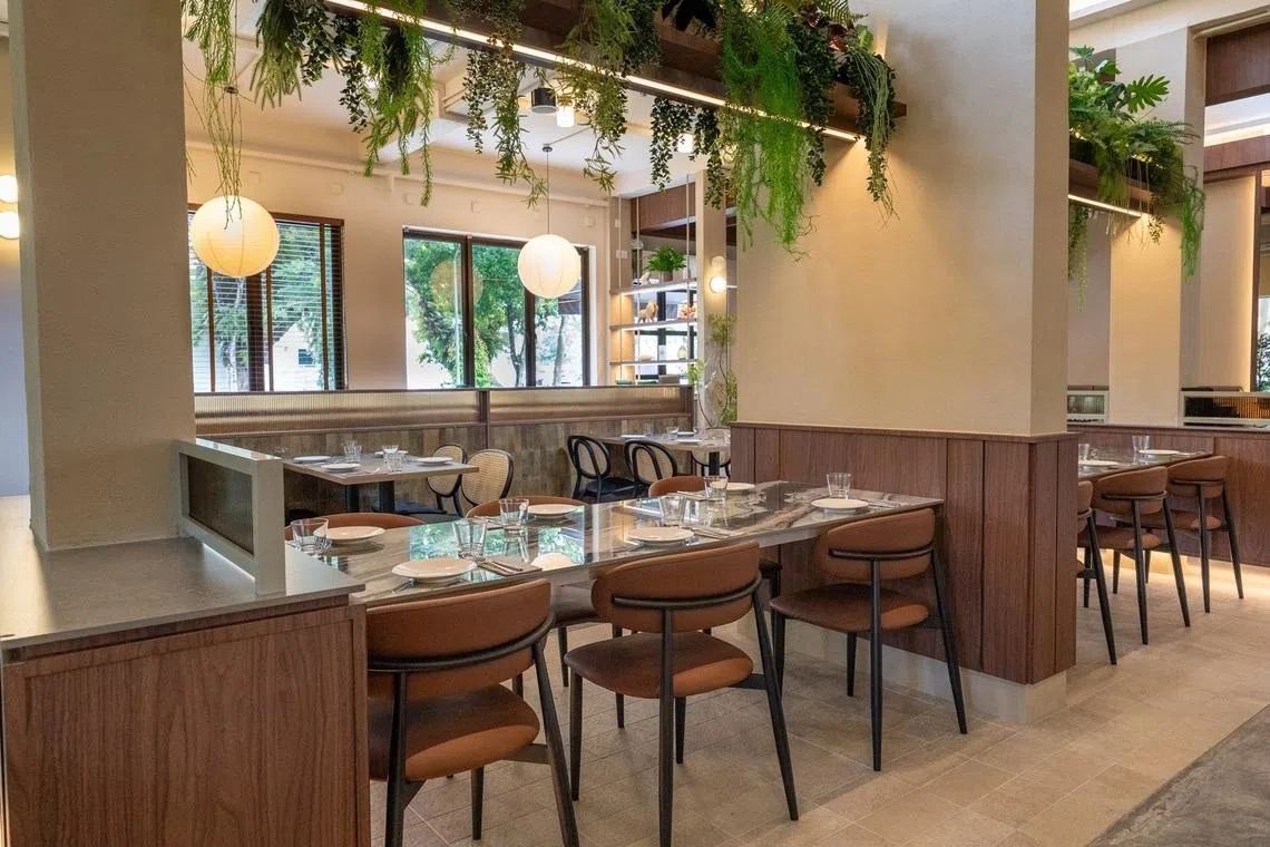 Yara餐馆设计舒适明亮，充满绿意。（餐馆提供）