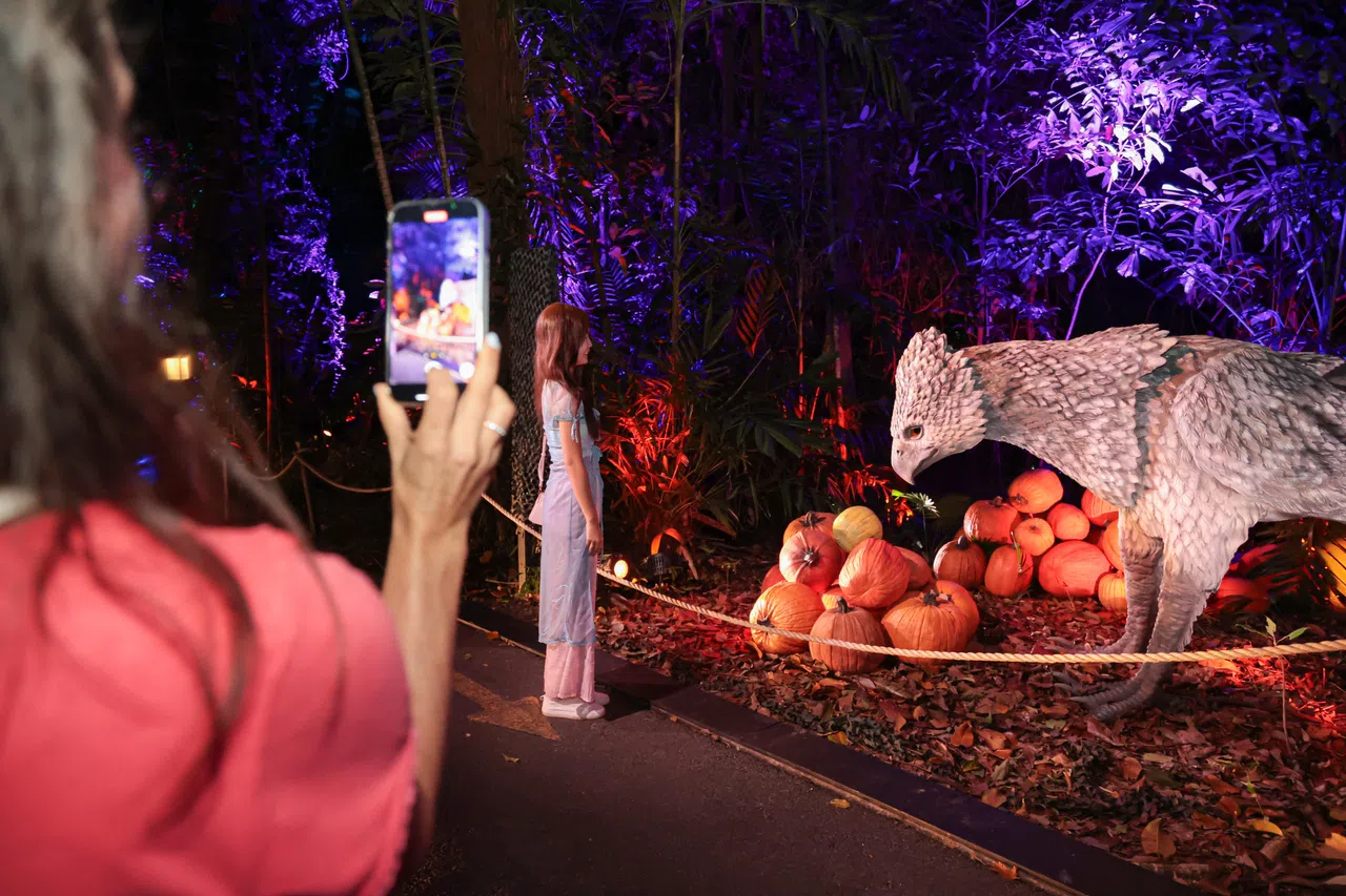 禁林中的鹰头马身有翼兽会友善地鞠躬，有时也会摇头。（李冠卫摄）