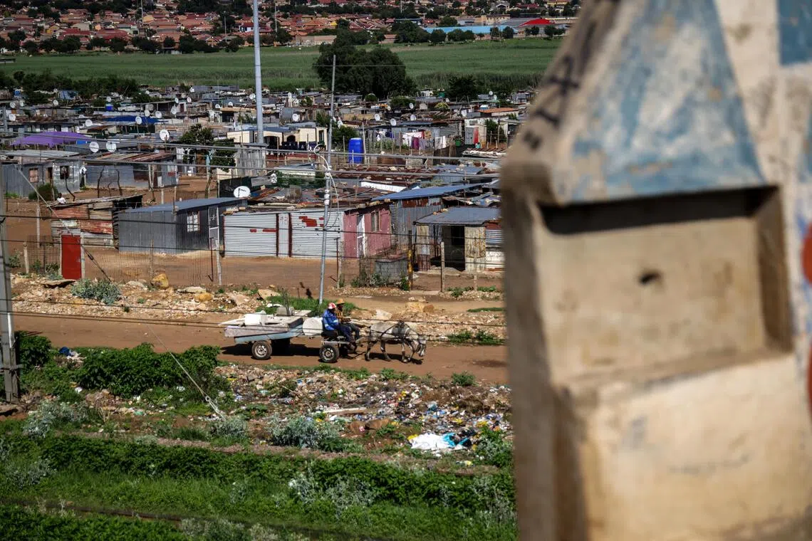 在索韦托，经常可见人们在路上骑驴的画面。（叶振忠摄）
