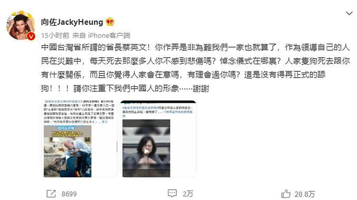 向佐昨日在个人微博发文指责台湾总统蔡英文。（微博）