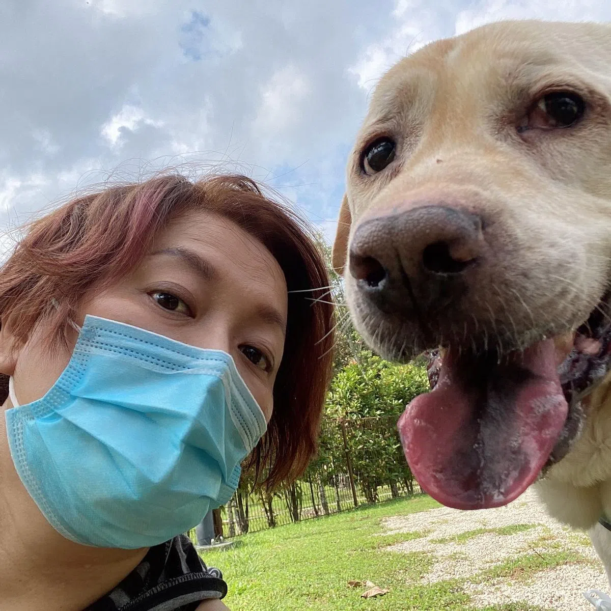 叶丽梅有狗狗在身边，一点也不寂寞。（受访者提供）