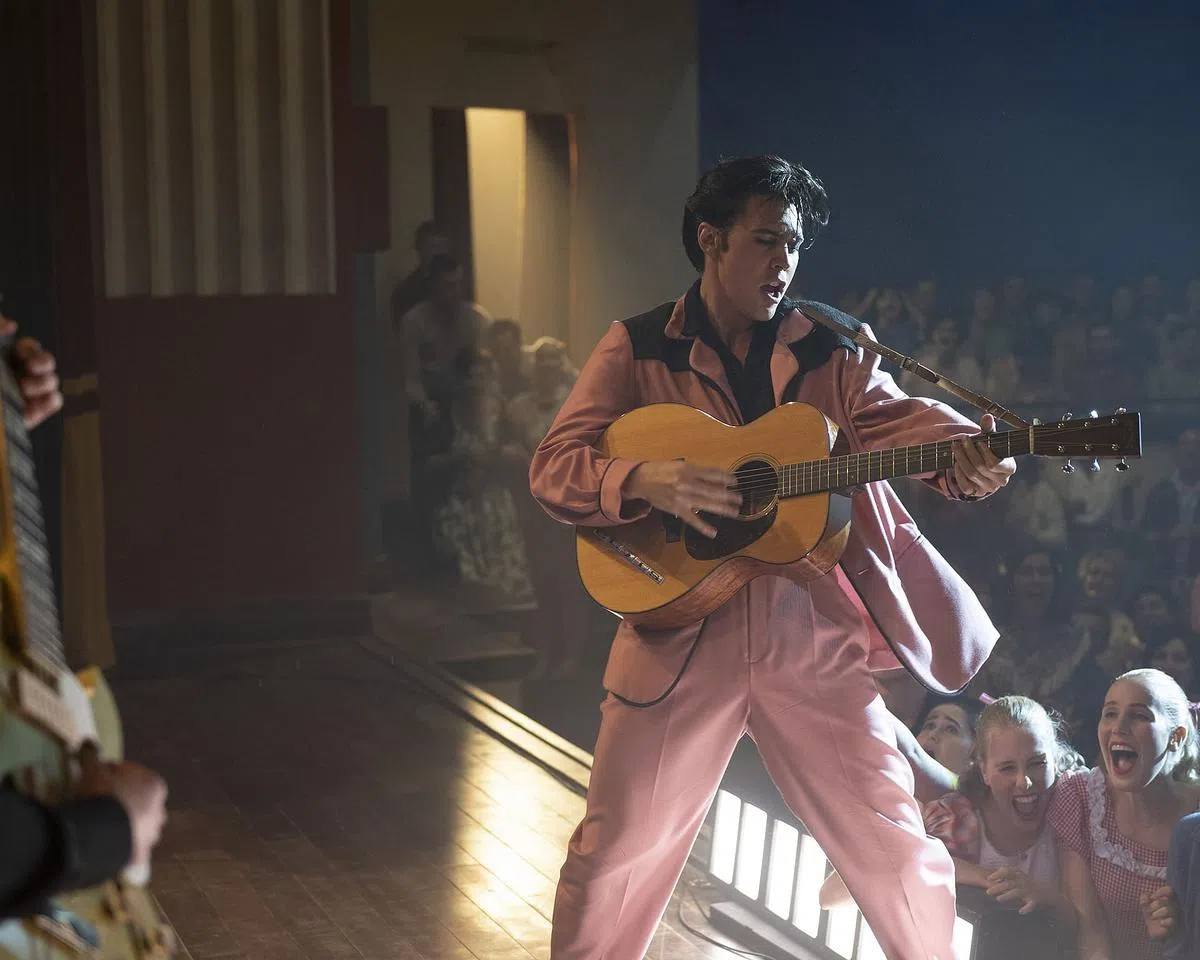 猫王艾维斯 Elvis