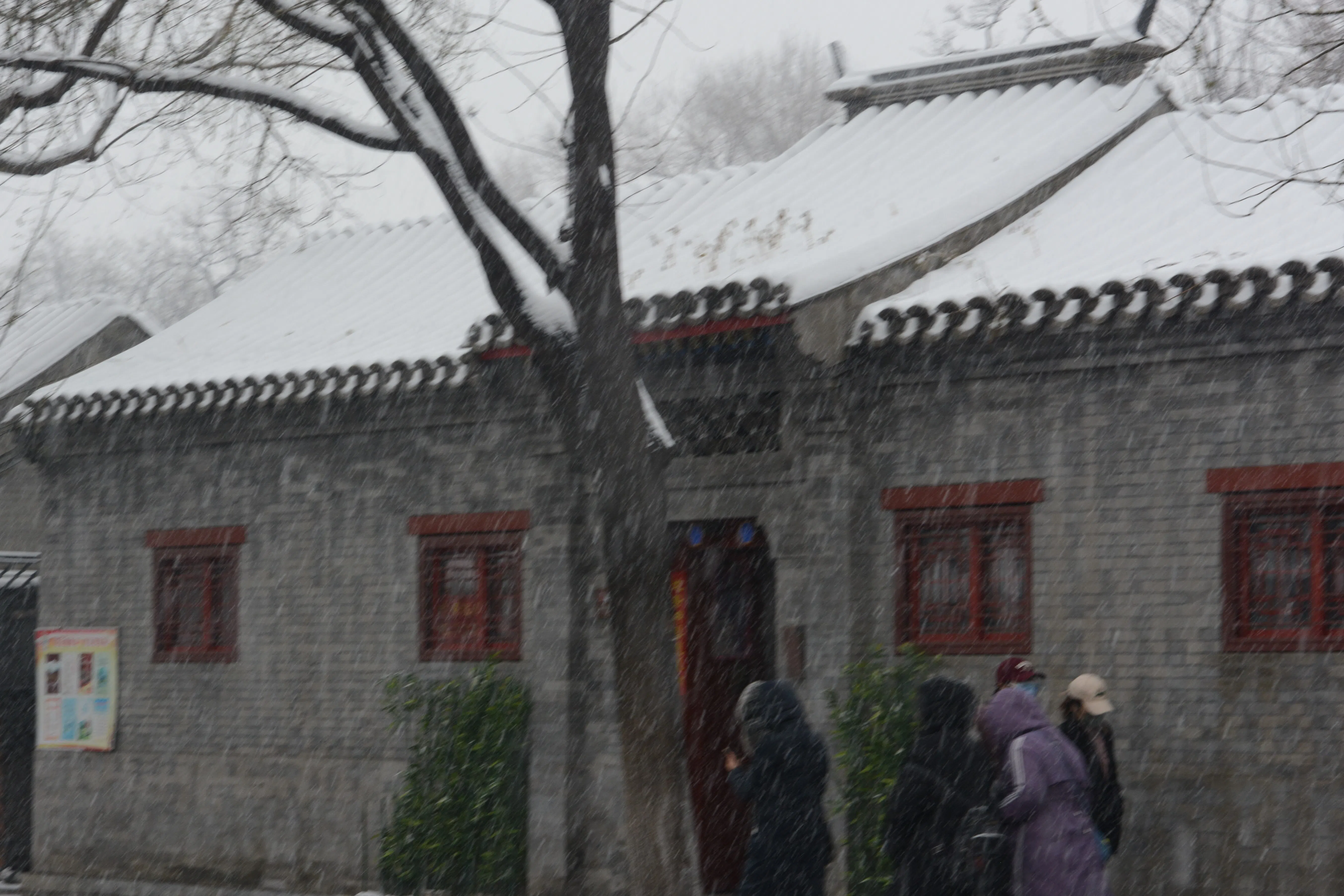 雪花纷纷路难行。