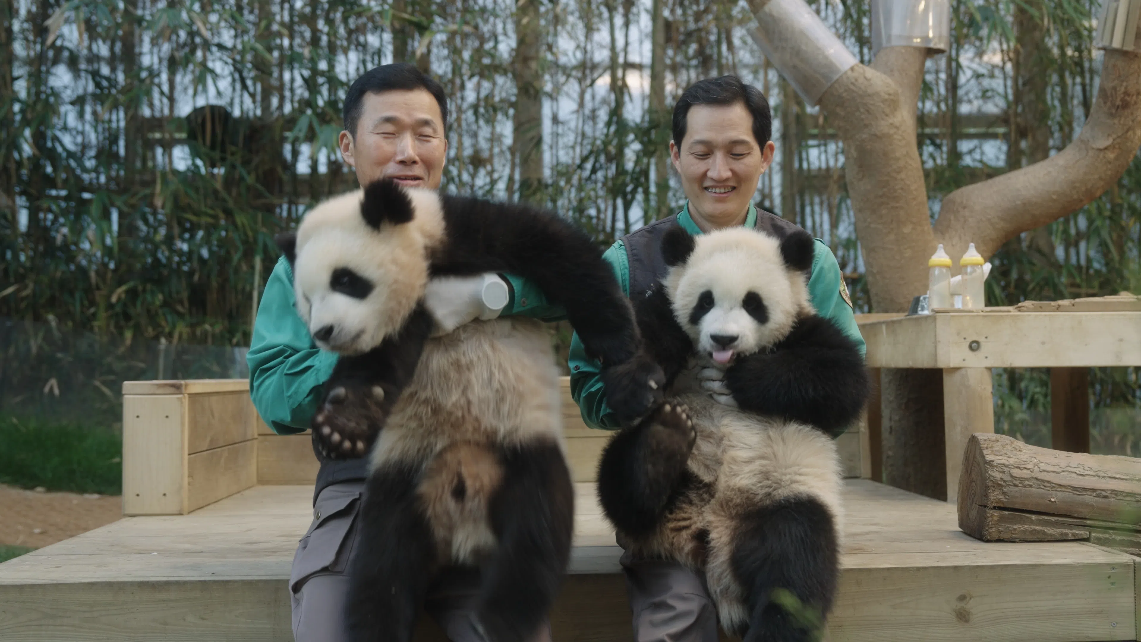 《再见，爷爷》记录了韩国爱宝乐园饲养员姜爷爷（左）和宋爷爷与福宝等熊猫的日常点滴。（嘉华院线提供）