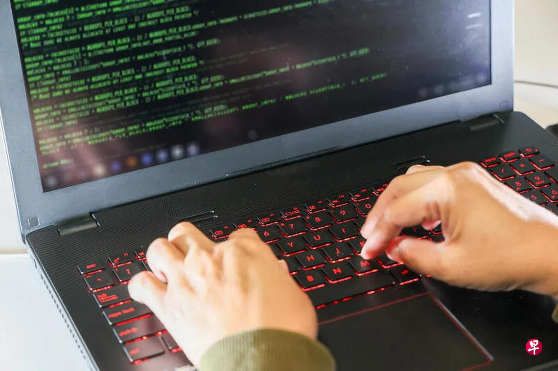 政府拟订新法五大指示全方位打击网络罪案| 联合早报