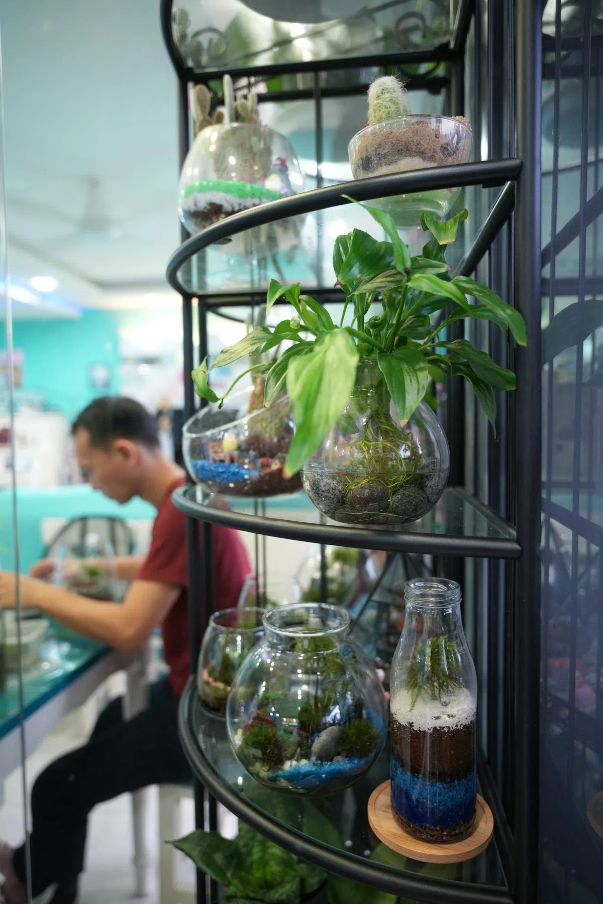 客厅一角的架子上摆放着大大小小的瓶中景。（谢智扬摄）
