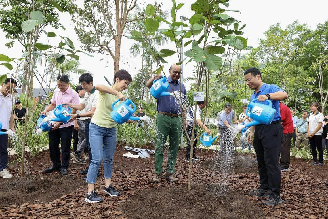 （右起）国家发展部长李智陞、国务资政兼社会政策统筹部长尚达曼和永续发展与环境部长傅海燕为湖畔花园北段主持开幕，一起在园区内种树。（蔡家增摄）