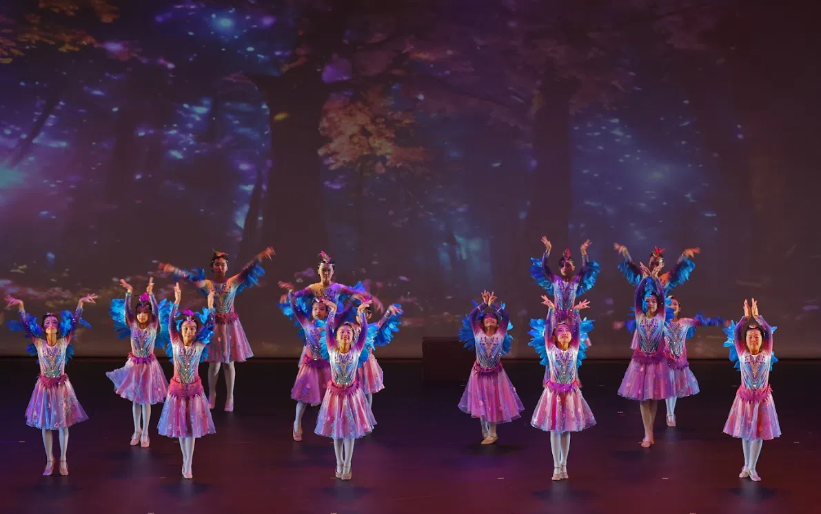 《华彩•绽放》融合舞蹈、武术与语言艺术。（图/新加坡华族文化中心提供）
