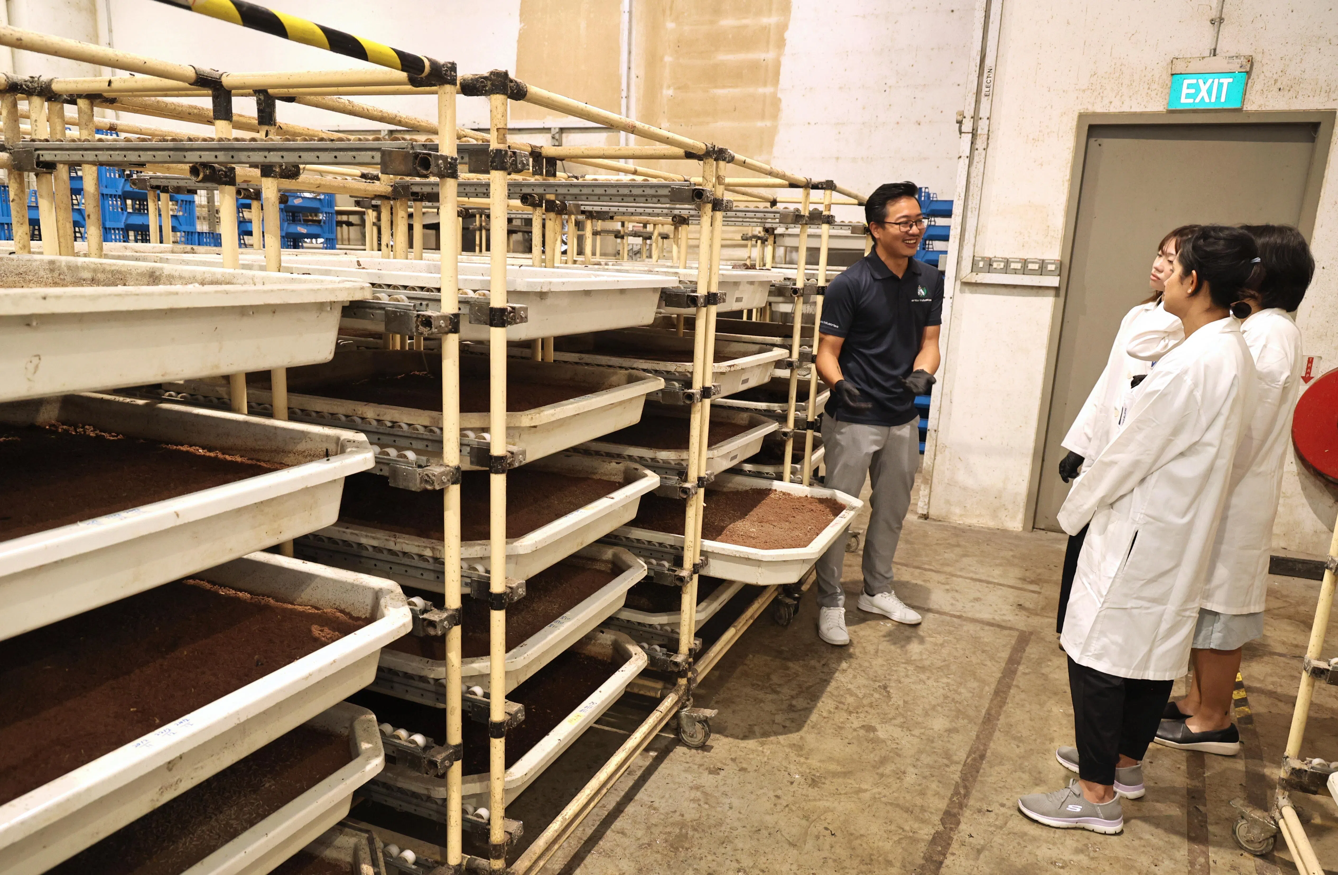 Ento的导览活动开放给公众、学校、企业和社区组织报名参加。（周国威摄）