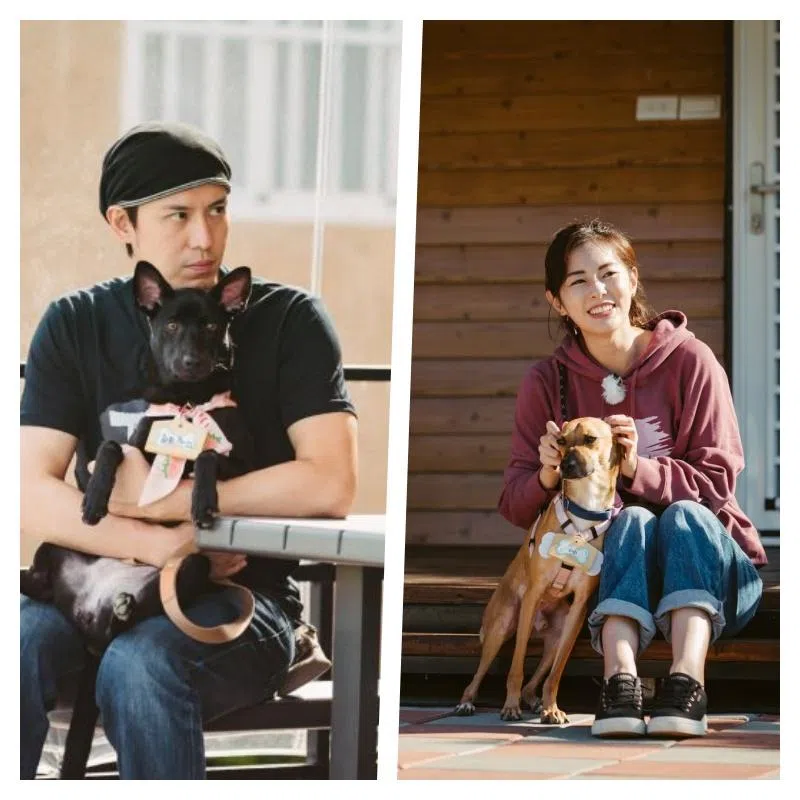 陈楚河（左图）为狗取名费欧娜，意喻公主。任容萱（右图）对海胆温柔亦付出满满爱心。（互联网）