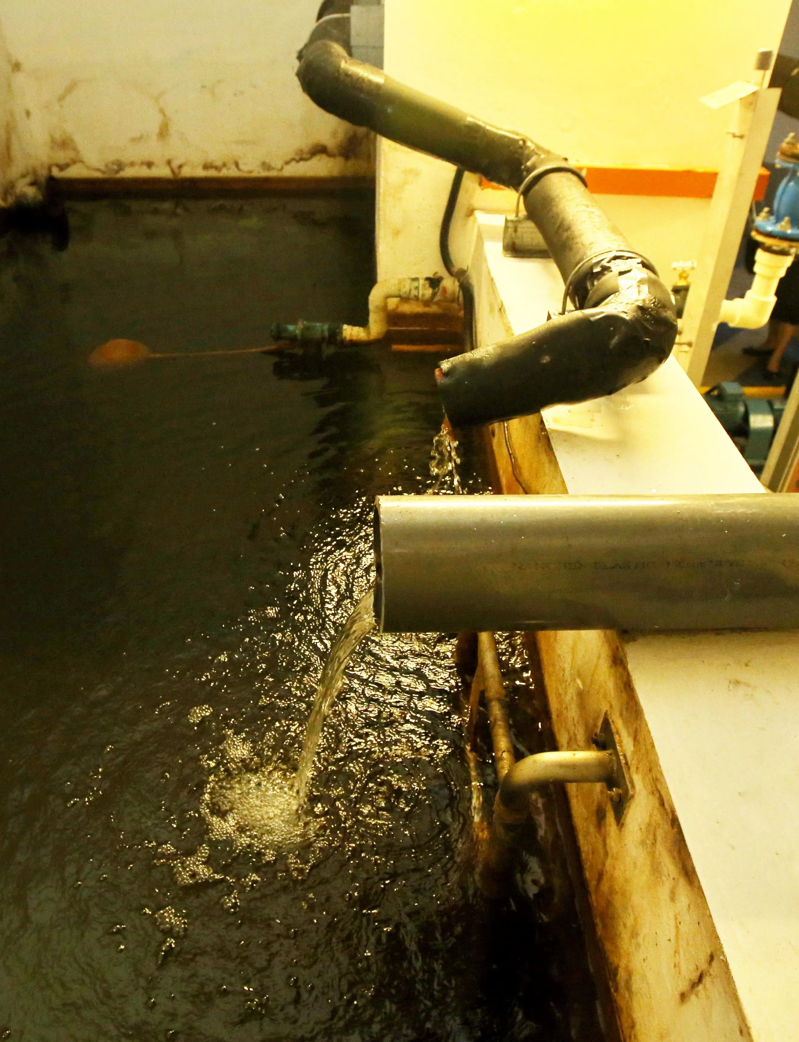 黄廷方综合医院团队通过重新设计流程，将反渗透系统排放的废水收集至蓄水槽，再通过自动灌溉系统，为院内花草树木浇水。（特约陈福洲摄）