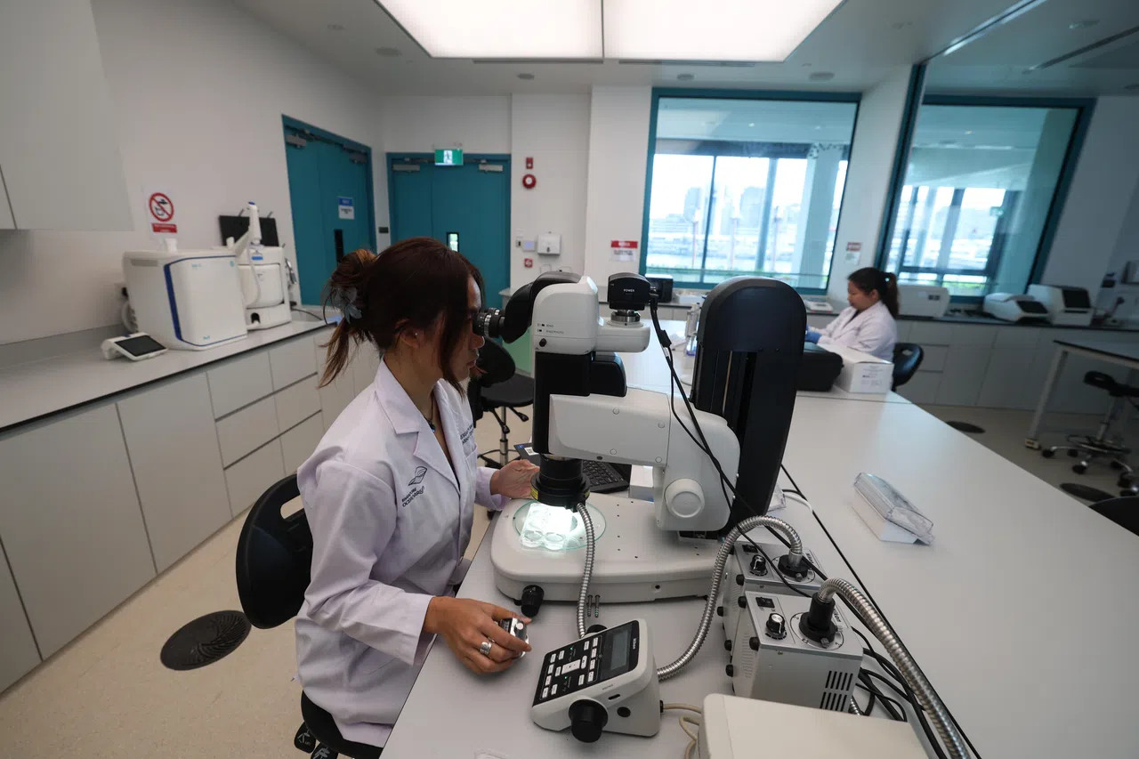 新加坡海洋生态馆设立研究与学习中心，备有兽医设施如诊断设备、临床和环境实验室等，供专业培训的工作人员使用，以妥善照料馆内动物和进行保育项目等。（关俊威摄）