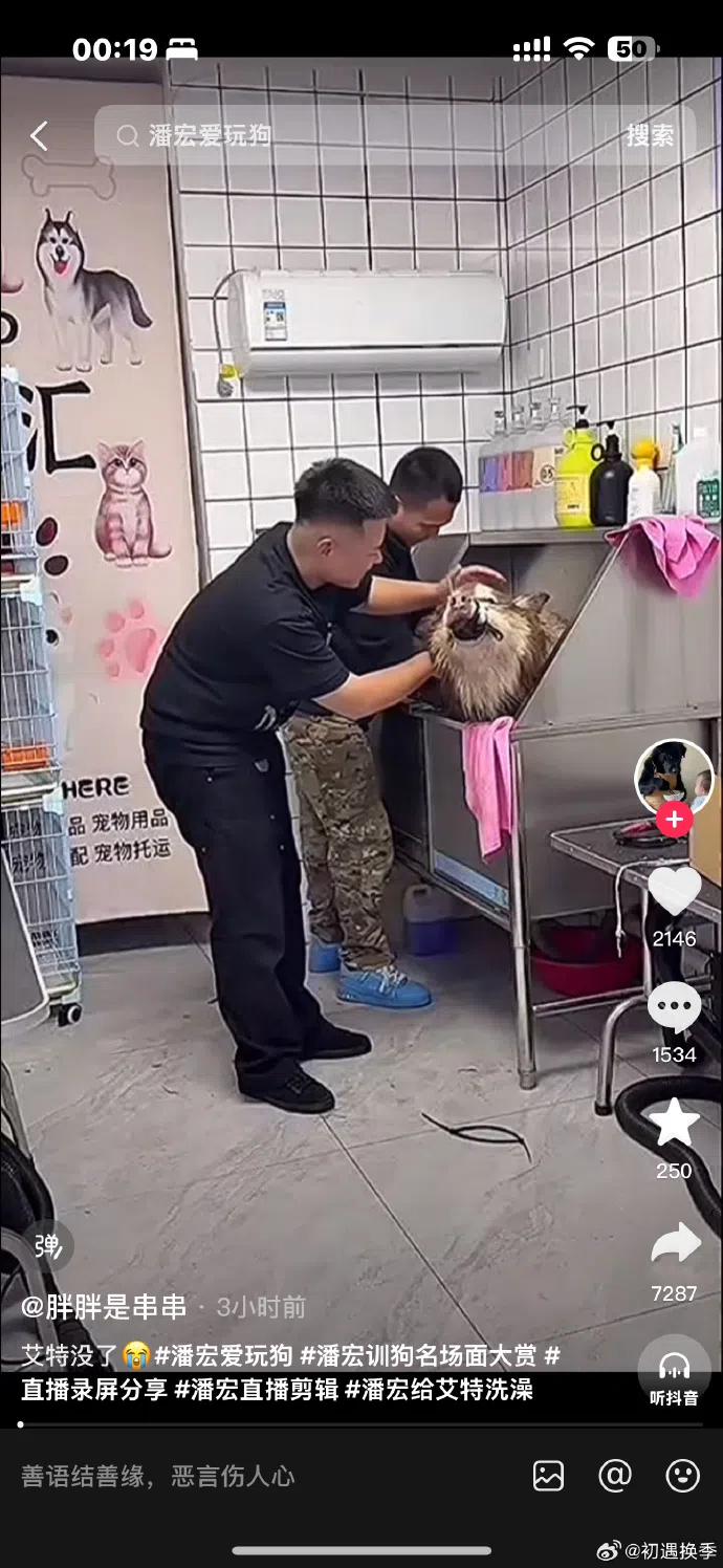 训狗师潘宏为网红狗“艾特”洗澡时将其嘴巴绑住。（取自微博）