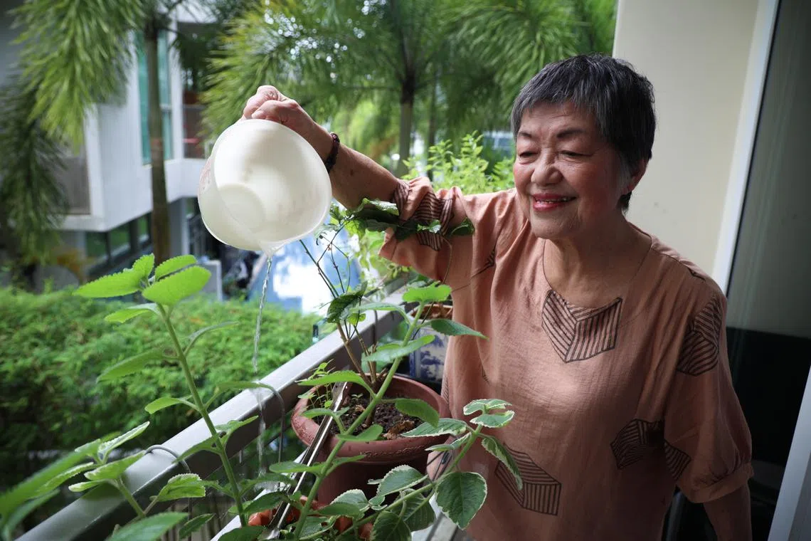 陈彩凤喜欢种花种草，保持身心愉悦。（关俊威摄）