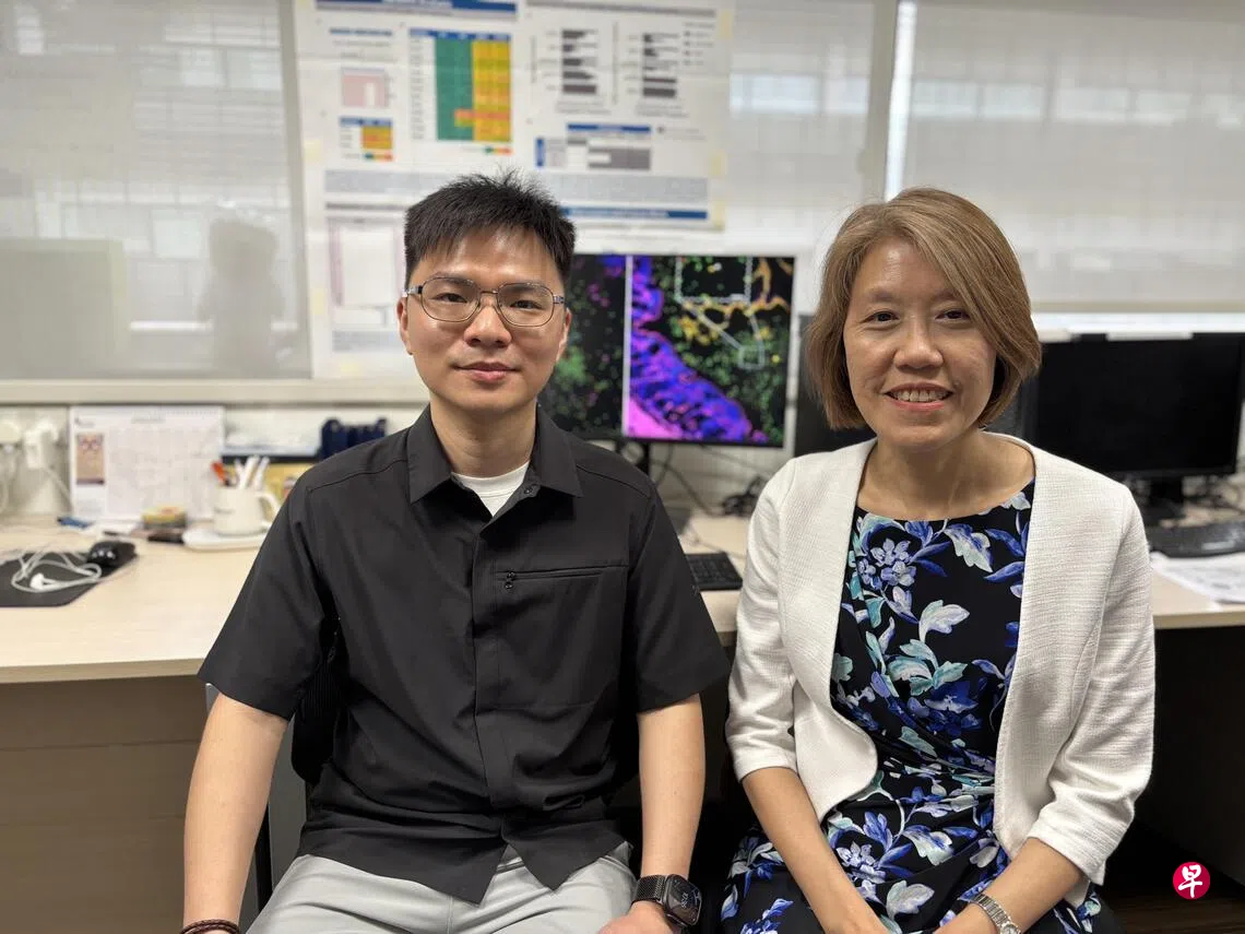 国大医学院研究：肠道环境或助长毒性强又抗药的“超级细菌” | 联合早报