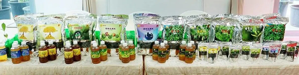 结合光力量总合与一系列研发的光化剂，已将堆肥优化为特优光养料，目前在最后的实践验收阶段。（龙国雄摄）