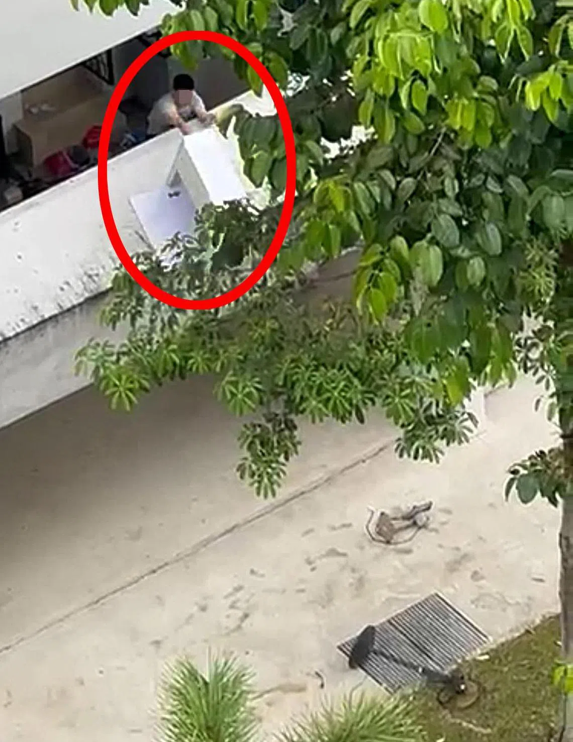 视频显示，男子扛起鞋柜直接往楼下扔。（视频截图）