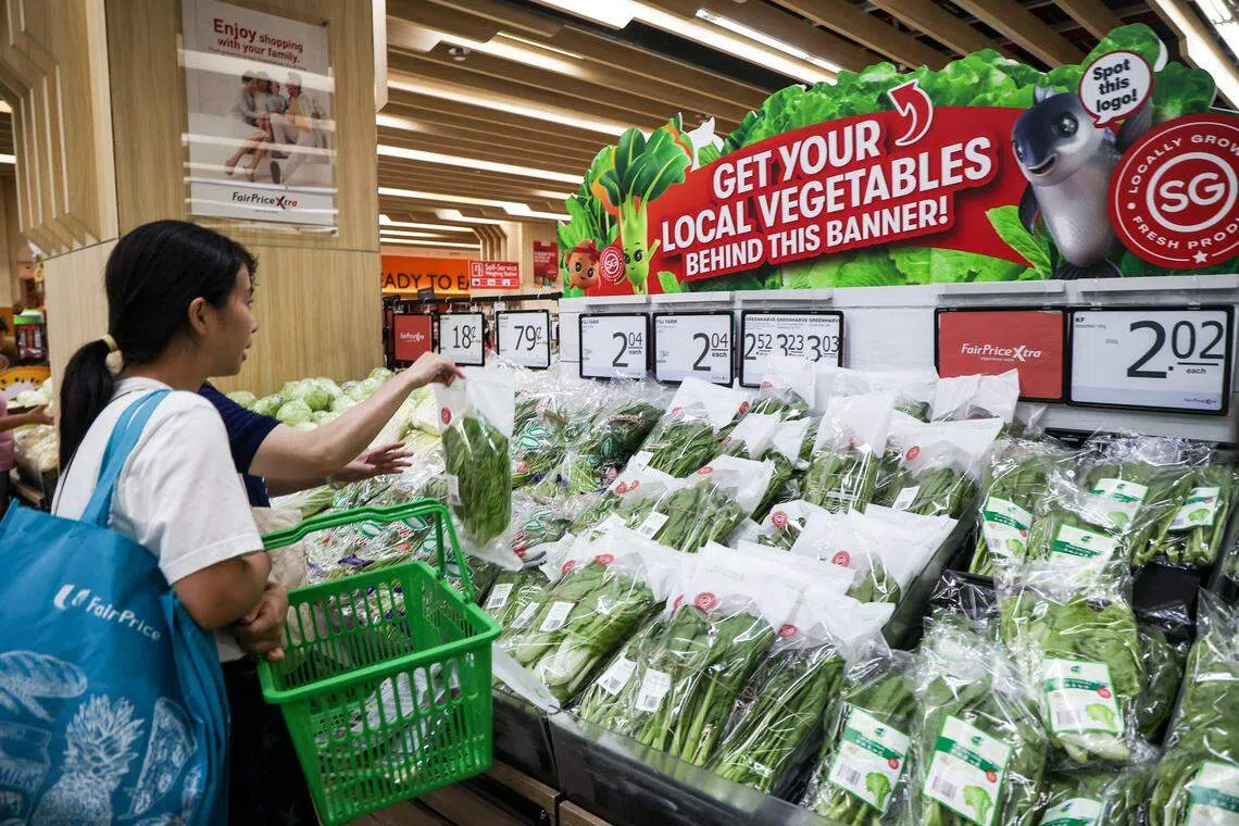 新加坡鲜农总会星期五（5月24日）在裕廊东JEM商场的平价超市宣布启动为期六个月的试点计划，正式推出“新加坡农夫市集”品牌的农产品。（关俊威摄）