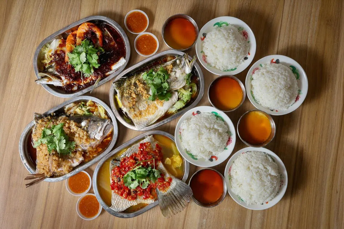 “多多鱼”是蒸鱼套餐引领者之一，选择口味多。（档案照）